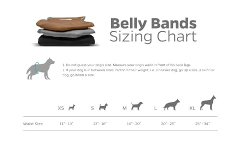 Washable Belly Bands for Male Dogs (Small (13-16") / Natural)