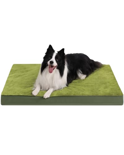 Orthopedic Dog Bed for Large Dogs with Waterproof Lining (Green / 35.0"L x 22.0"W x 3.0"Th)