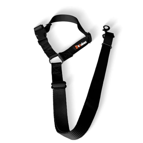 Headrest Dog Seatbelt