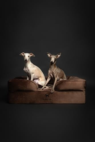 Large Dog Bed (Velvet - Brown / Large)