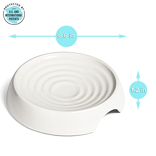 Cat Bowls Original Whisker (Dish / Ceramic, White)