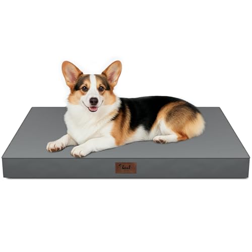 Outdoor Waterproof Orthopedic Dog Bed for Large Dogs (Grey / 36.0"L x 27.0"W x 3.0"Th)