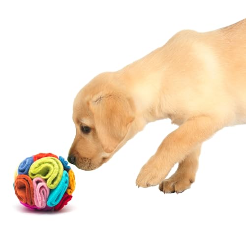 Snuffle Ball for Dogs