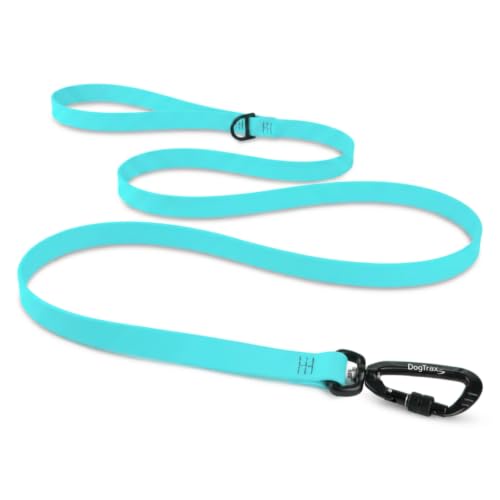Essential Biothane Dog Leash (Sky Blue / 3/4 In x 5 Feet)