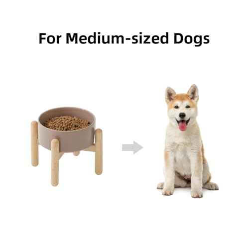 Ceramic Dog Bowls Elevated (Brown Coffee)