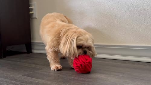 Puppy Small Breed Snuffle Dog Puzzle Ball Toy Red with Crinkle (Red / Small)