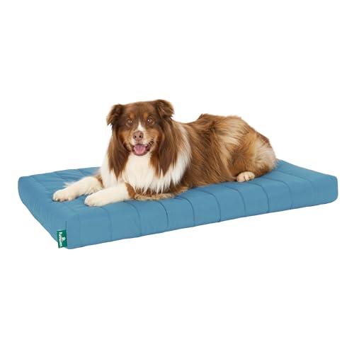 Orthopedic Dog Bed (X-Large / Lagoon)