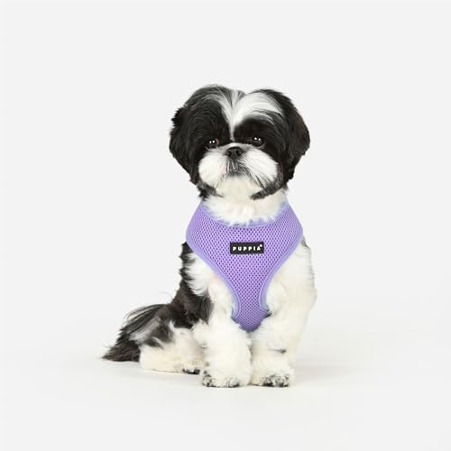 Soft Dog Harness No Choke Over (Violet / Medium)
