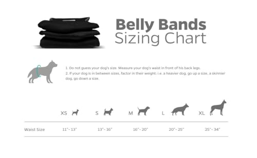Washable Belly Bands for Male Dogs (Medium (16-20") / Black)