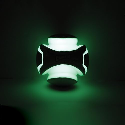 Kick Fetch Max Glow Ball (Large / Max Glow)