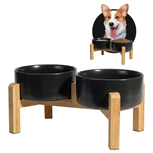 Elevated Ceramic Dog Bowl (Black / Medium)