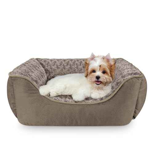 Rectangle Dog Bed for Large Medium Small Dogs (Dark Brown / S(20"x 19"x 6"))