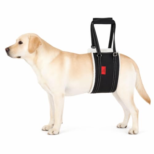 Leather Dog Lift Harness (L)