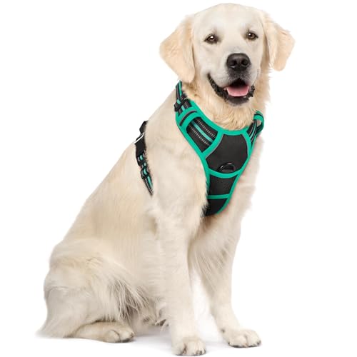 Dog Harness No Pull for Large Dogs with 2 Leash Clips (X-Large / Black & Turquoise)