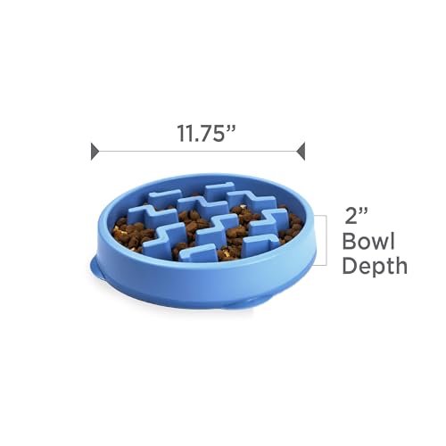 Fun Feeder Slo Bowl (Blue / Large)