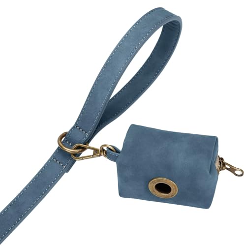 PU Leather Dog Leash for Small Dogs (Blue / 5/8''x 5FT)