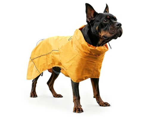 Dog Raincoat with Hood (yellow (Mesh Lining) / M)