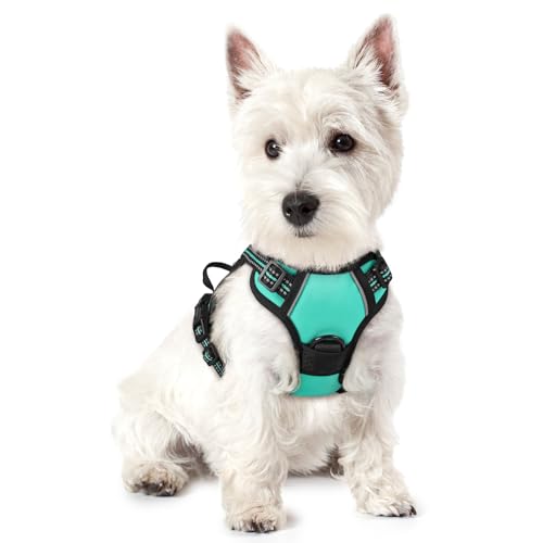 Dog Harness No Pull for Small Dogs with 2 Leash Clips (X-Small / Turquoise)