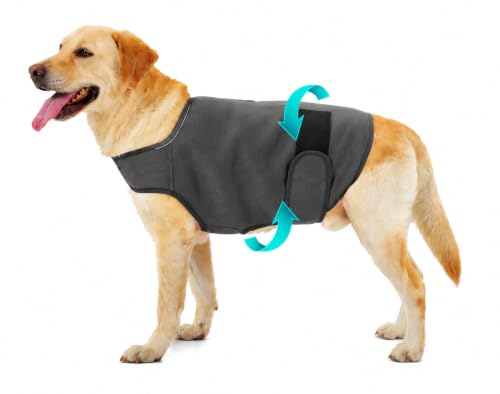 Dog Anxiety Vest for Dogs (Stormy Calm (Dark Gray) / X-Large)