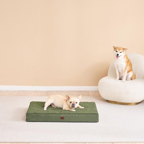 Orthopedic Dog Bed Large with Removable Washable Cover (36*27*3.5 inches / Olive Green)