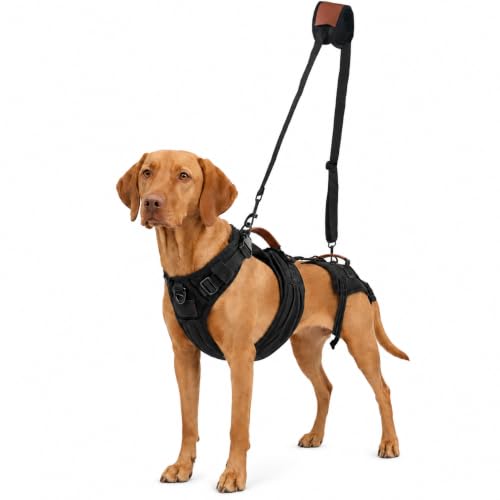 Dog Lift Harness for Senior and Injured Dogs (L)