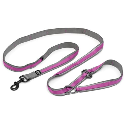 Quantum 6 in 1 Dog Leash (Violet)