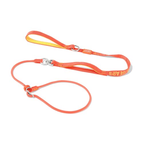 Slip Lead Dog Leash (Orange / 5.5FT)
