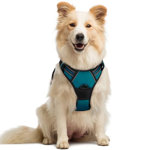 Dog Harness No Pull Medium Sized with 2 Leash Clips (Medium / Blue Coral)
