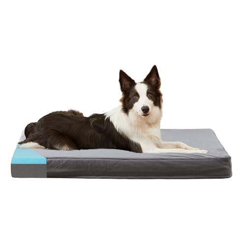 Orthopedic Memory Foam Bed for Large Dogs (Short Plush / L Plus-36"x 27" x 3")