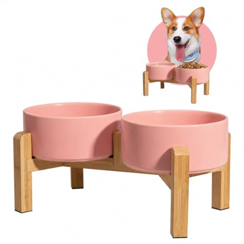 Elevated Ceramic Dog Bowl (Pink / Medium)