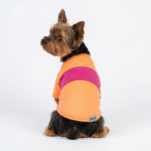 3 Pack Color Block Striped Dog Shirt (X-Large / Pink-Orange-Purple)