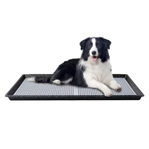 HQ4us Dog Pee Pad Holder Tray with Grate 34”×23” (L - 34”×23” for 30-60lbs Dog)