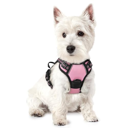 Dog Harness No Pull with 2 Leash Clips (X-Small / Pink)
