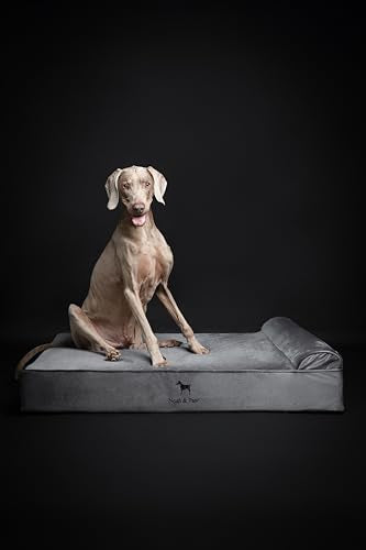 XL Dog Bed 45x35x9.1 Inch (Velvet - Grey / X-Large)