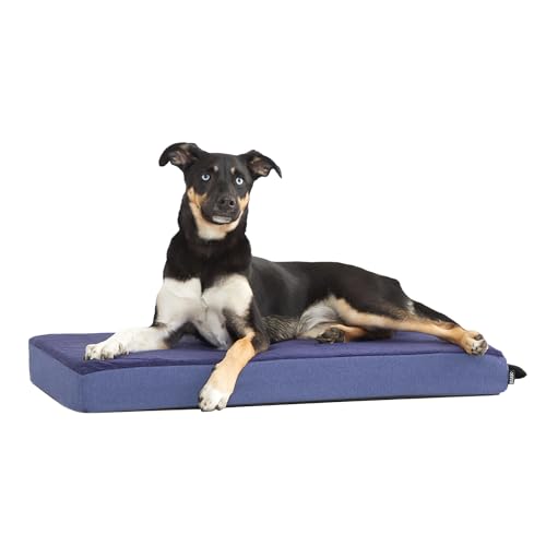 Orthopedic Dog Bed (Navy / Medium)