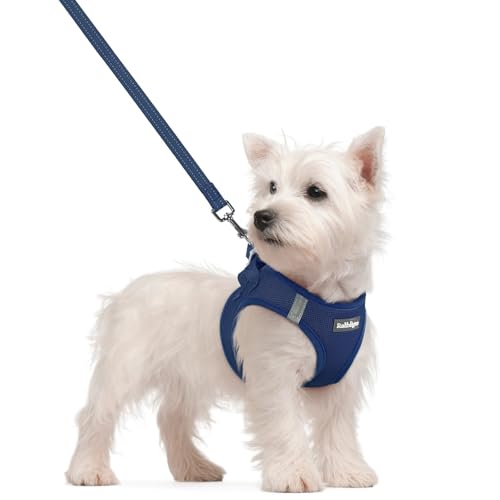 Dog Harness Small Sized and Leash Set (Navy Blue / S (chest: 15.1 - 16.5"))