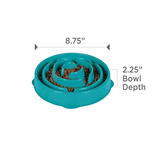 Fun Feeder Slo Bowl (Turquoise / Medium)