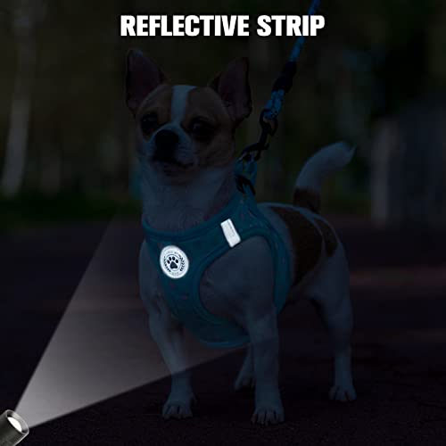 Small Dog Harness and Leash Set (XX-Small(Chest Girth 11.5"-13") / Blue Polka Dots)