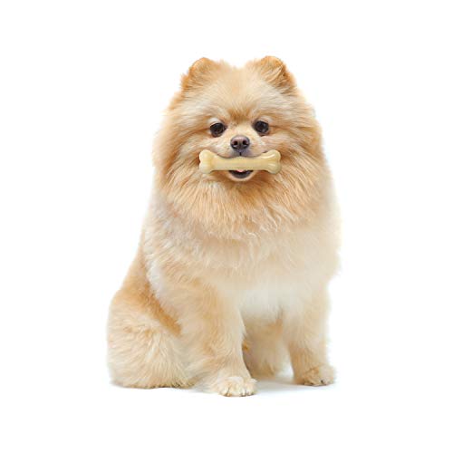 Power Chew Original Bone Dog Chew Toy (X-Small)