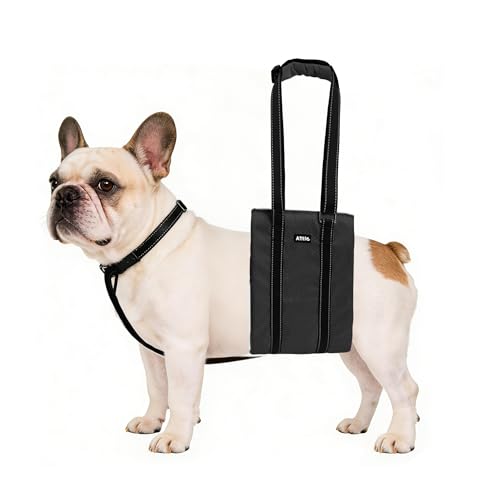Dog Lift Harness for Senior (Black / S)