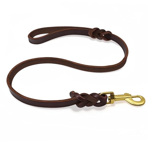 4ft Leather Dog Leash Heavy Duty Pet Walking Training Lead (4ft)