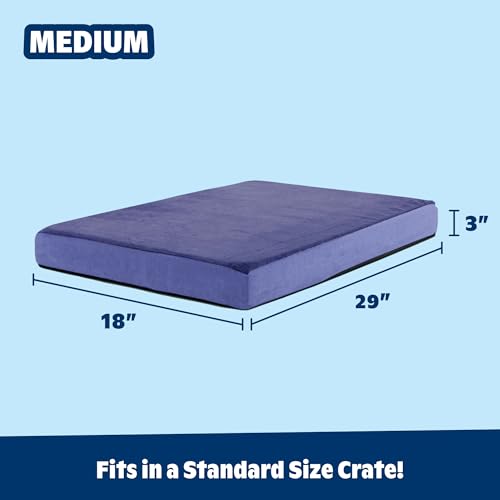 Orthopedic Dog Bed (Navy / Medium)