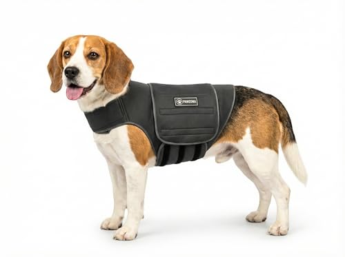 Dog Anxiety Vest (Medium)