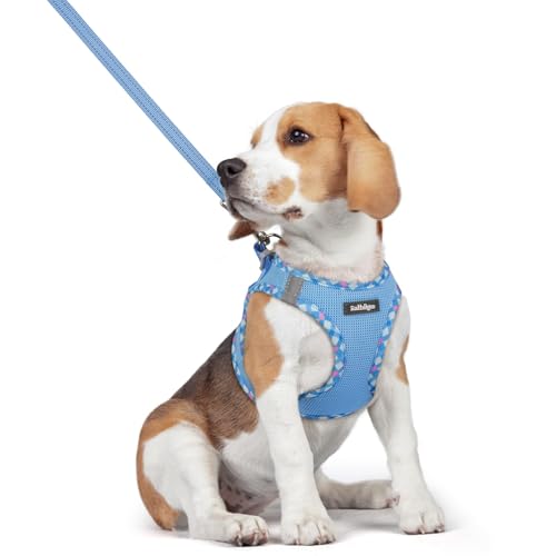 Dog Harness Medium Sized and Leash Set (Blue & Plaid Trim / L (chest: 18.2 - 20.5"))