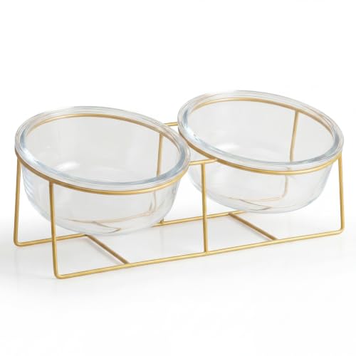 Elevated Dog Bowl Set of 2 (Large / glass×2)