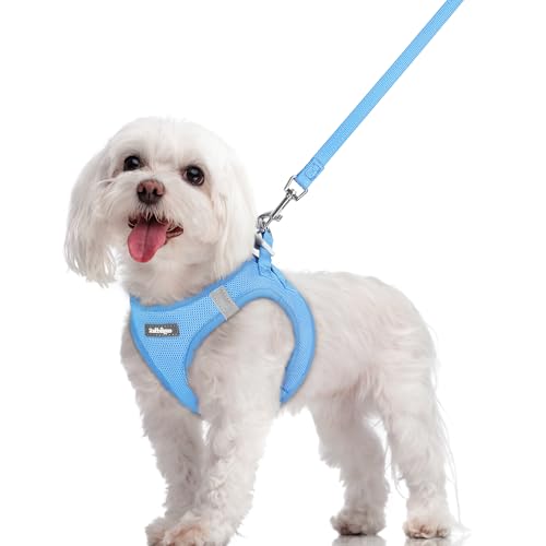 Dog Harness Medium Sized and Leash Set (Blue / M (chest: 16 - 18.5"))