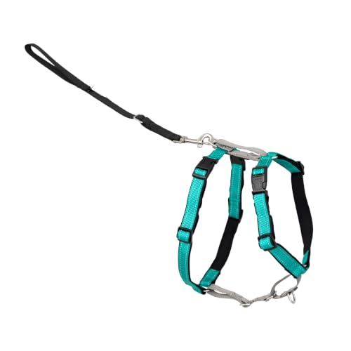 Easy Walk 3 in 1 No Pull Dog Harness (Teal / Small (Pack of 1))