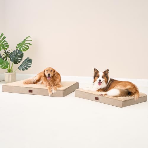 Orthopedic Dog Bed with Removable Washable Cover (30*20*3.5 inches / khaki)