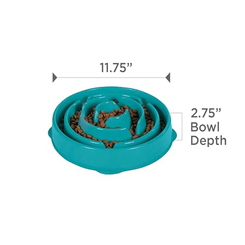 Fun Feeder Slo Bowl (Turquoise / Large)