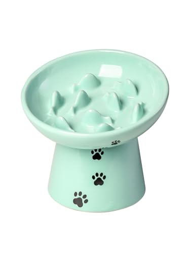 Slow Feeder Cat Bowl (Green)